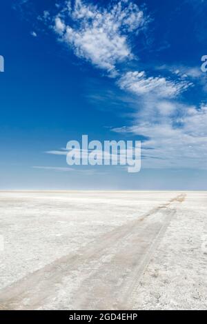 Landscape with vehicle tracks of the Makgadikgadi Salt Pan, Botswana Stock Photo