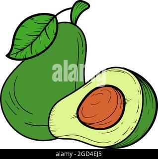 Avocado hand drawn illustration icon clipart Stock Vector