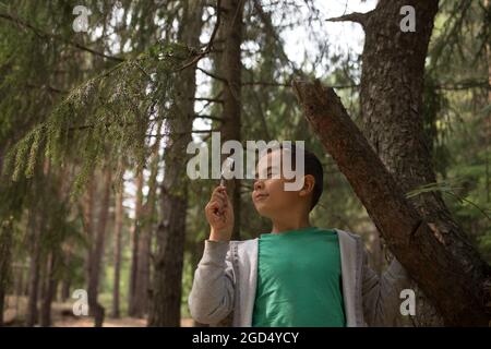 a little boy look at insects on a tree with magnifying glass Stock Photo