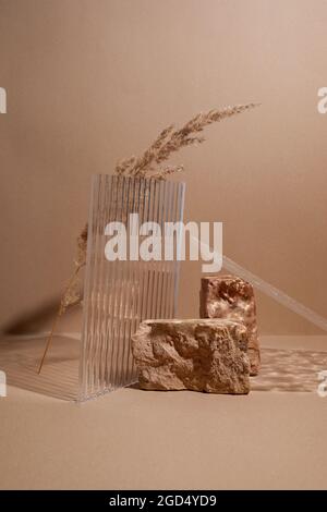 Podium stand and textured glass on pastel background with natural plant. Mock up for the exhibitions, presentation of products, relaxation and health. Stock Photo