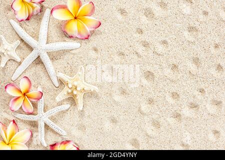 Tropical flower frangipani or plumeria and seashells, starfish on sand background, top view, copy space Stock Photo