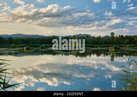 Summer landscape, lake with reflection of clouds on the calm water surface. Shortly before sunset. Protected bird area. Dubnica, Slovakia. Stock Photo