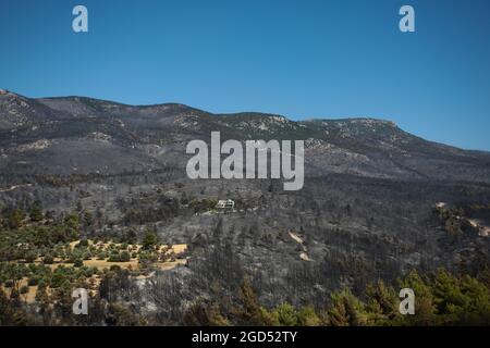 Greece - Parnitha, impressions of the fire damage on Mount Parnitha on ...