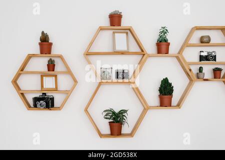 Wooden hexagon shelf on the light wall. Potted Houseplants, photo frames, retro cameras Stock Photo