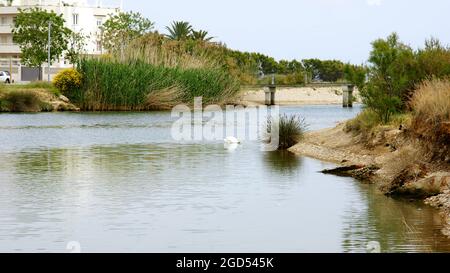 Fluvial Park of Cubelles in Barcelona, Catalunya, Spain, Europe Stock Photo