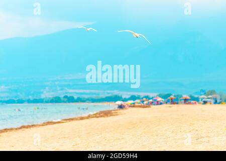 Two seagulls flying over beautiful greek beach, travel concept Stock Photo