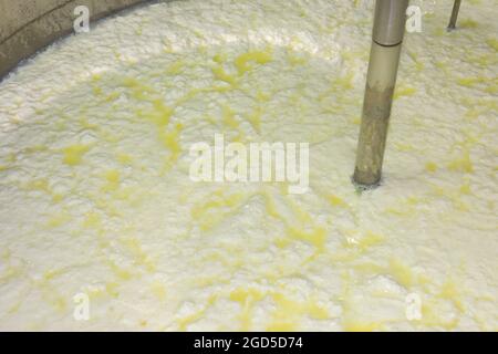 phases of ricotta production in a cheese factory in Greece Stock Photo