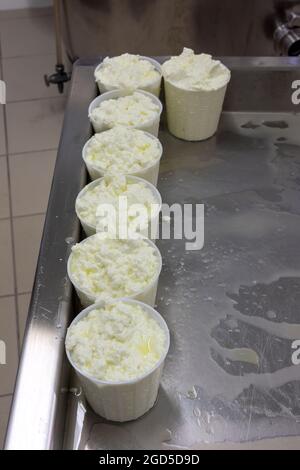 phases of ricotta production in a cheese factory in Greece Stock Photo