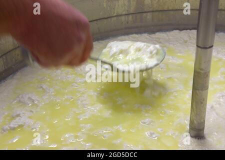 phases of ricotta production in a cheese factory in Greece Stock Photo