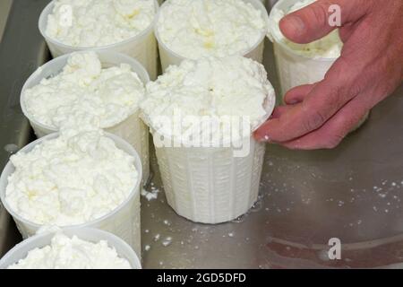 phases of ricotta production in a cheese factory in Greece Stock Photo