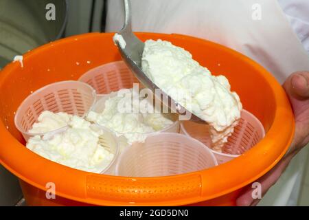 phases of ricotta production in a cheese factory in Greece Stock Photo