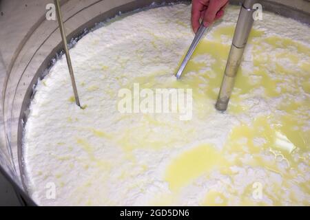 phases of ricotta production in a cheese factory in Greece Stock Photo