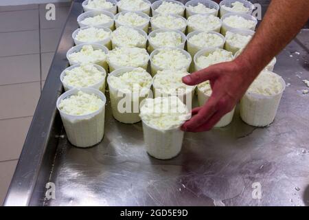 phases of ricotta production in a cheese factory in Greece Stock Photo