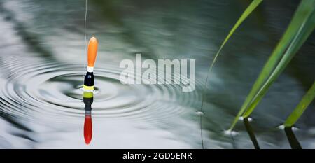 Bobber in water Stock Photo - Alamy