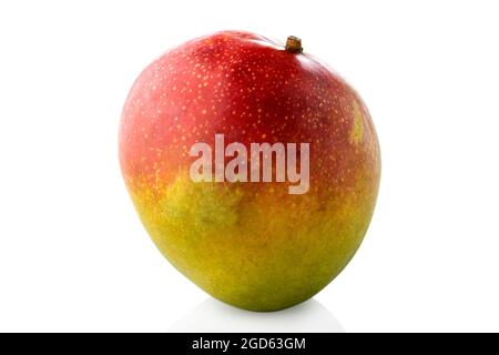 Mango. Vertical position single mango on a white background Stock Photo