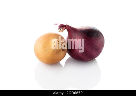 Red and yellow onion. Two colors onions on a white background Stock Photo