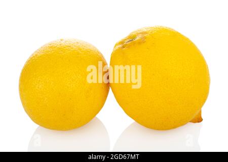 Lemon. Two lemons on a white background, 2 whole lemons Stock Photo