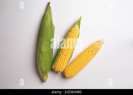 Fresh corn cobs on flat white background. High quality photo Stock Photo