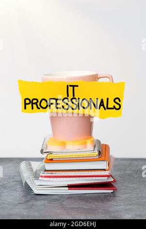 Inspiration showing sign It Professionals. Word Written on any person associatedand expert with the computer world Organized And Neat Sorting Stock Photo