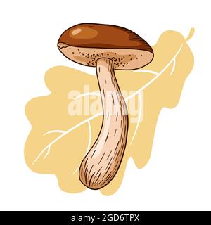 Hand Drawn Boletus and Oak Leaf Illustration. Forest mushroom sketch for logo, emblem, label, prints, stickers, menu design and decoration Stock Vector