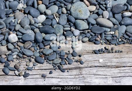 Stones on piece of driftwood on beach Stock Photo
