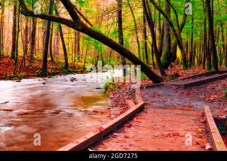 Beautiful River Path Through Forest Along River In Fall Colors Stock Photo