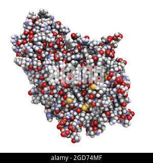 Alpha-galactosidase (Agalsidase) enzyme. Cause of Fabry's disease. 3D render. Stock Photo