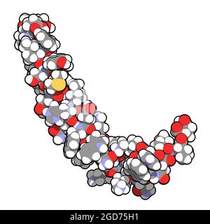 Glucose-dependent insulinotropic polypeptide (GIP)