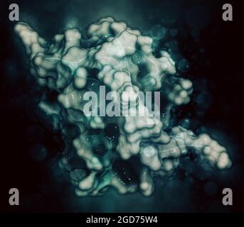 Interleukin 13 (IL-13) cytokine protein. 3D illustration. Stock Photo