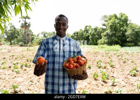 Smiling young african farmer with a straw basket of fresh tomates, for sale Stock Photo