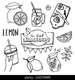 Hand drawing vector illustration isolated on white background. Summer set with lemonade and its ingredients. doodle vector illustration in sketch lemo Stock Vector