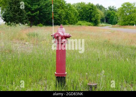 Red Fire Hydrant Stock Photo
