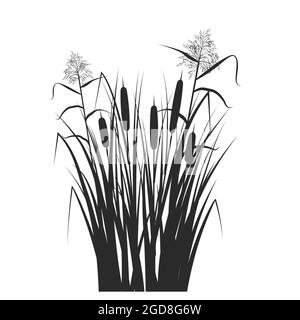 Silhouette of reed and cane in green grass. Swamp and river plants. Vector flat illustration. Stock Vector