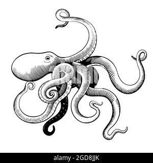 Hand drawn octopus in woodcut engraving vintage style isolated on white background. Stock Vector