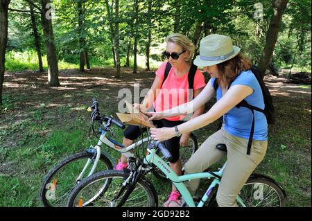 FRANCE, YVELINES (78) SAINT-GERMAIN-EN-LAYE, BIKE RIDE IN THE FOREST OF SAINT-GERMAIN Stock Photo