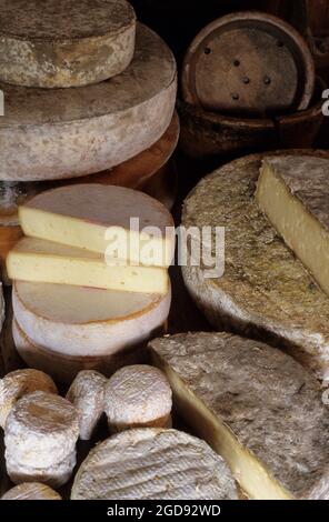 FRANCE, HAUTE-SAVOIE (74) MOUNTAIN CHEESES, REBLOCHON, CROTIN, TOMME, ABONDANCE Stock Photo