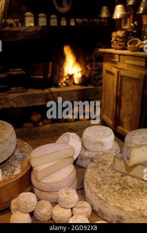 FRANCE, HAUTE-SAVOIE (74) LES GETS, FROMAGERIE AND RESTAURANT LA FRUITIERE DES PERRIERES, CHEVROTIN, TOMME, ABONDANCE, REBLOCHON CHEESES Stock Photo