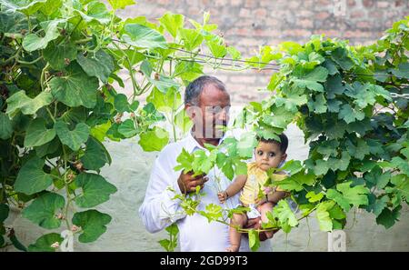 portrait of indian grandfather playing with newborn baby child with natural background. Stock Photo