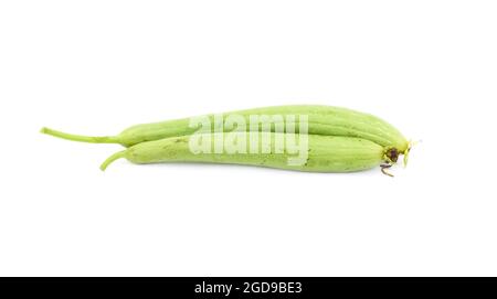 Two young fresh sponge gourd close up on isolated white background Stock Photo