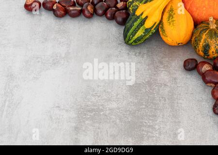 Selection of various pumpkins and chestnuts on textured grey concrete background. Flat lay autumn composition with copy space Stock Photo