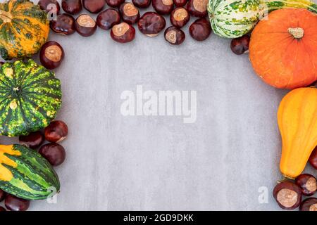 Selection of various pumpkins and chestnuts on textured grey concrete background. Flat lay autumn composition with copy space Stock Photo