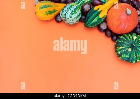 Natural fall side border of pumpkins and leaves. Top view on a rustic ...