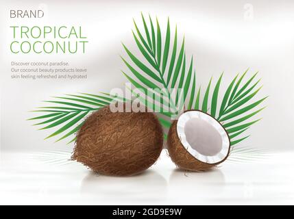 Tropical coconut realistic vector, whole and broken half coco nut and green palm leaves on white glossy background. Mock up banner or packaging design for natural products or organic cosmetics Stock Vector