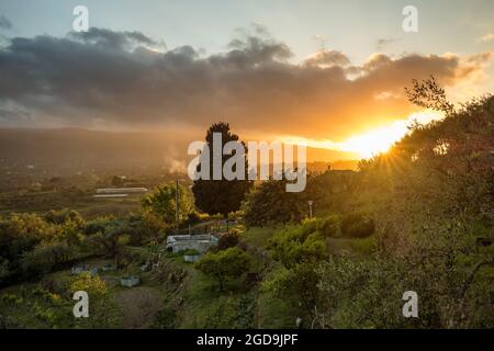 Small farm with olive trees garden and grapes during magnificent sunset in Sicily, Italy Stock Photo