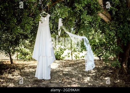Long, white wedding dress and a veil hanging on a tree in the summer Stock Photo