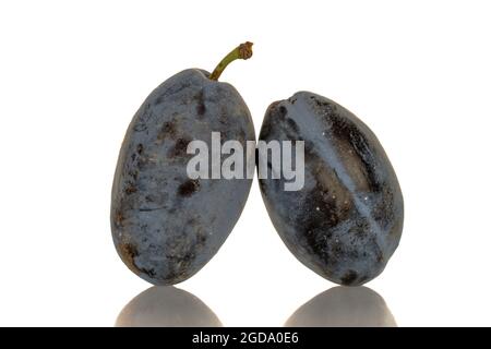 Two ripe organic Damson plums, close-up, isolated on white. Stock Photo