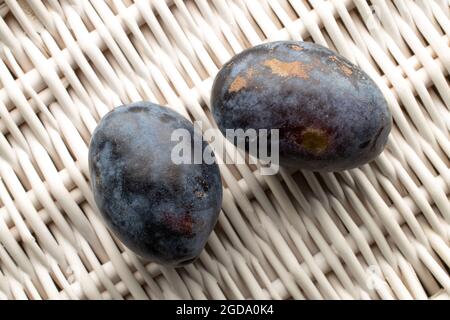 Two juicy dark purple plums, close-up, on a vine mat, top view. Stock Photo