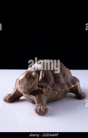 ceramic piggy bank turtle on white table and black background Stock Photo