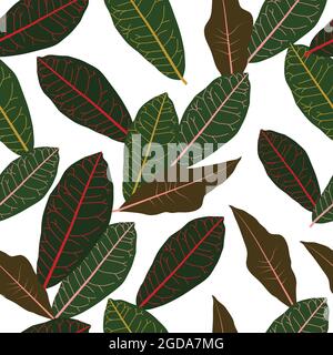 Different forms of Codiaeum leaves on a transparent background Stock Vector