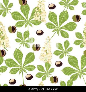 Chestnut leaves, flowers and fruits on a transparent background Stock Vector